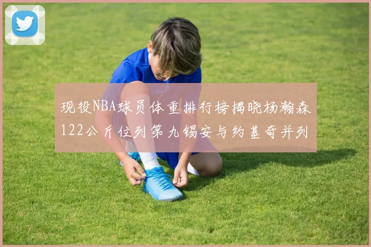 现役NBA球员体重排行榜揭晓杨瀚森122公斤位列第九锡安与约基奇并列第三