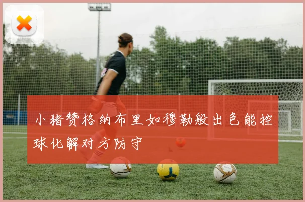 小猪赞格纳布里如穆勒般出色能控球化解对方防守