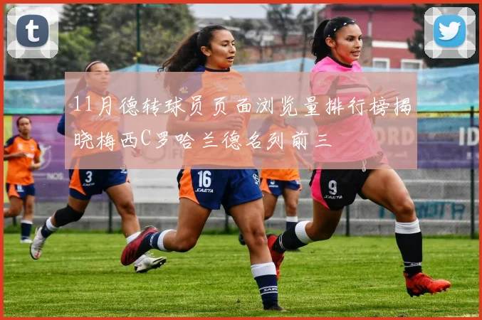 11月德转球员页面浏览量排行榜揭晓梅西C罗哈兰德名列前三