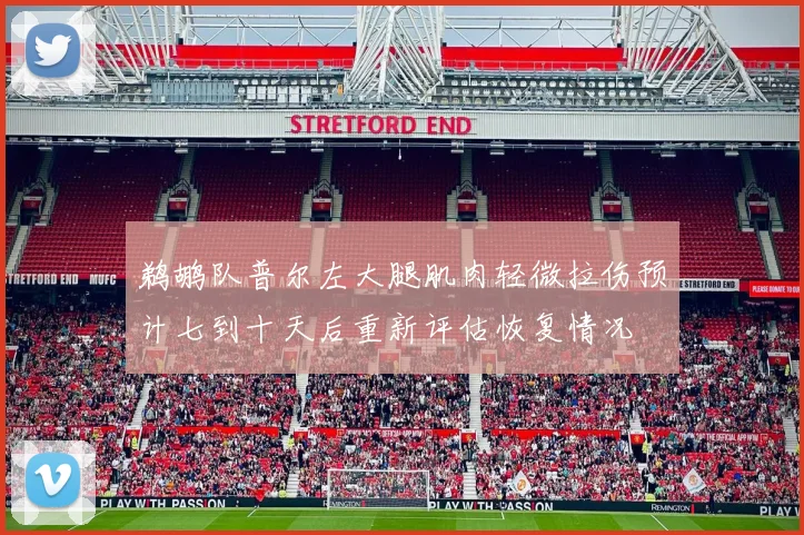 鹈鹕队普尔左大腿肌肉轻微拉伤预计七到十天后重新评估恢复情况